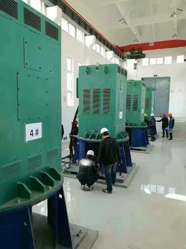 建昌某污水处理厂使用我厂的立式高压电机安装现场