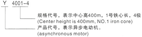 西安泰富西玛Y系列(H355-1000)高压建昌三相异步电机型号说明